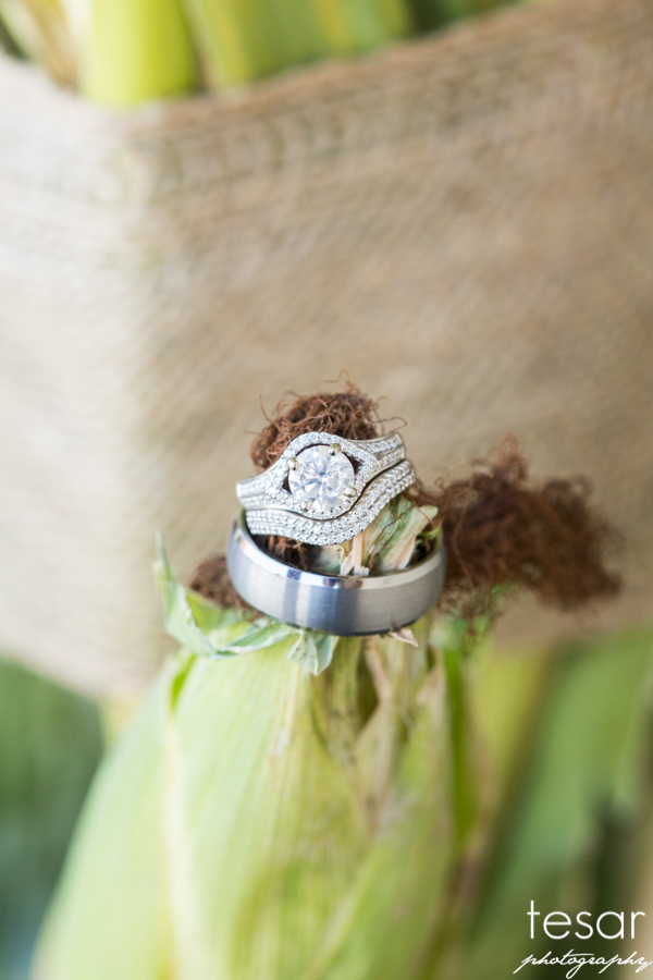 Boise Idaho Wedding Photographer-5006