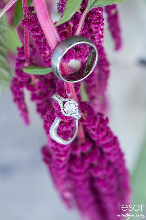 Boise Idaho Wedding Photographer-5007