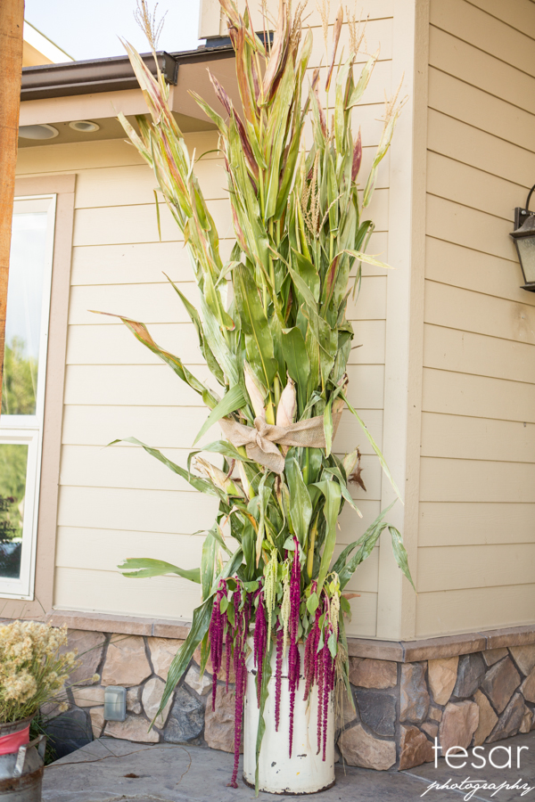 Boise Idaho Wedding Photographer-5038