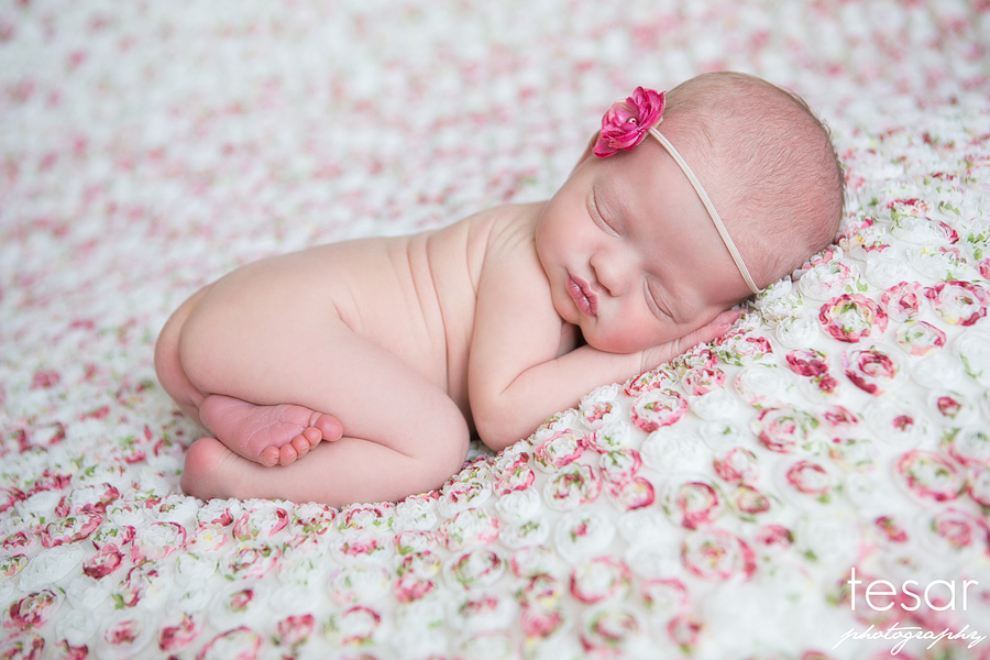 Boise Newborn Infant Baby Photographer 08