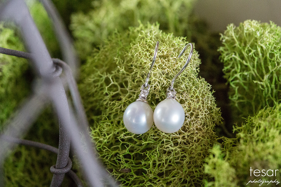 Boise Spurwing Wedding Photographer-6010