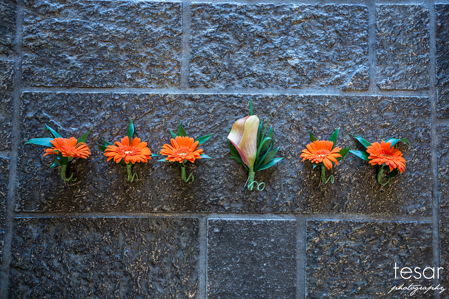 Boise Spurwing Wedding Photographer-6012