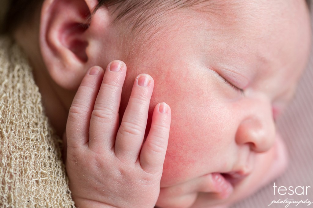 Aurelia Web Sized File-1044