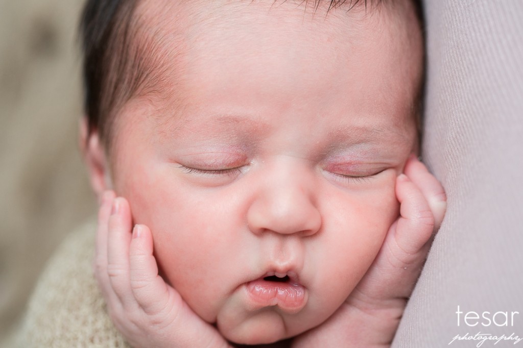 Aurelia Web Sized File-1045