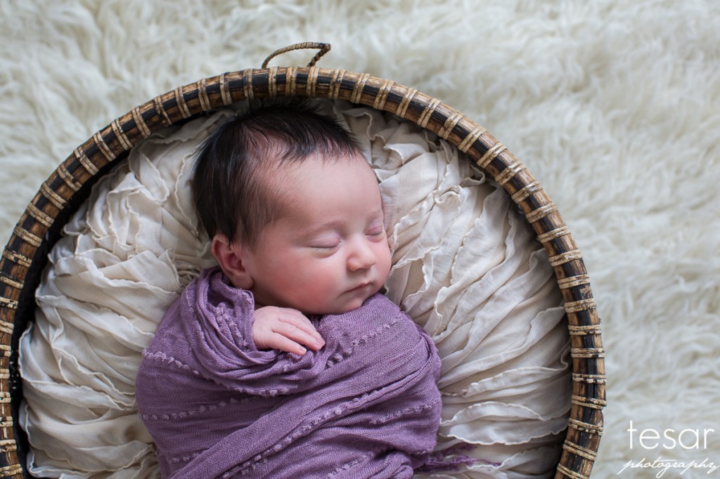 Aurelia Web Sized File-1067