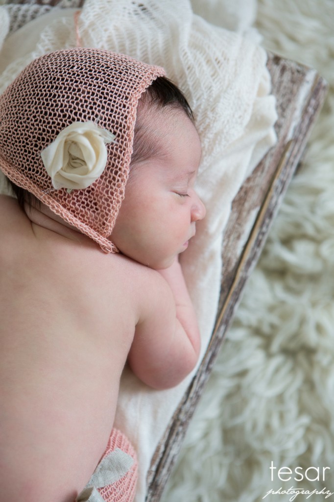 Aurelia Web Sized File-1073