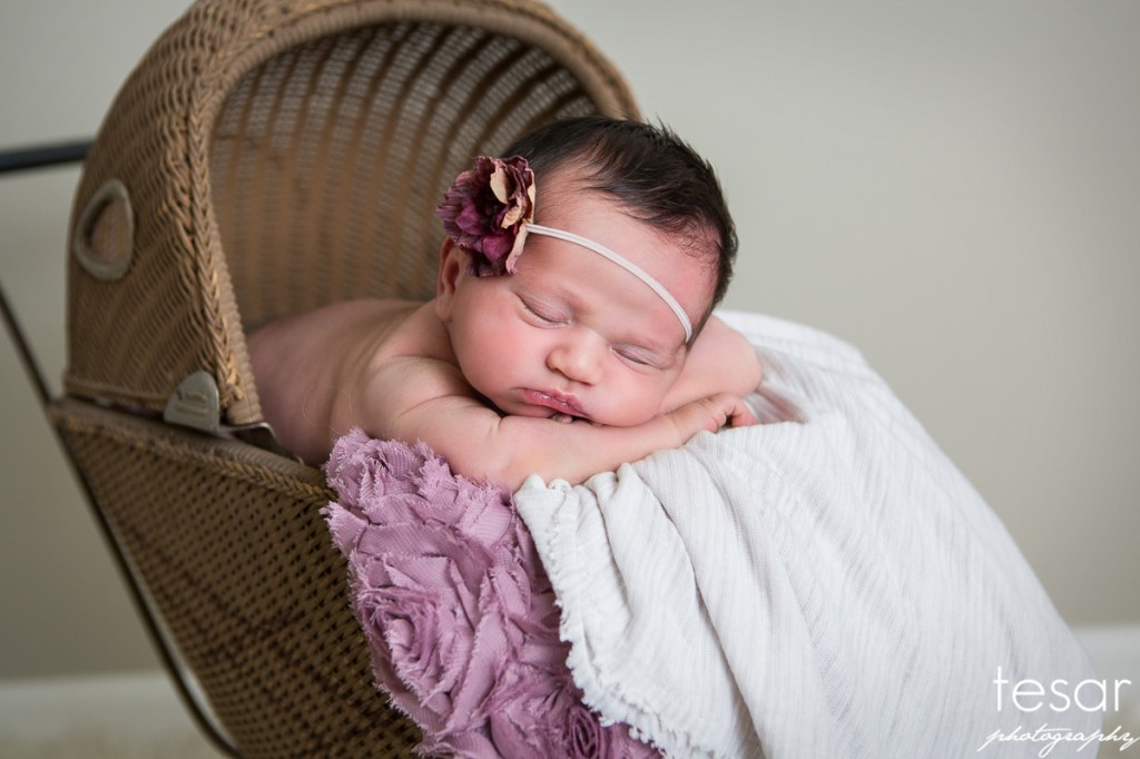 Aurelia Web Sized File-1075