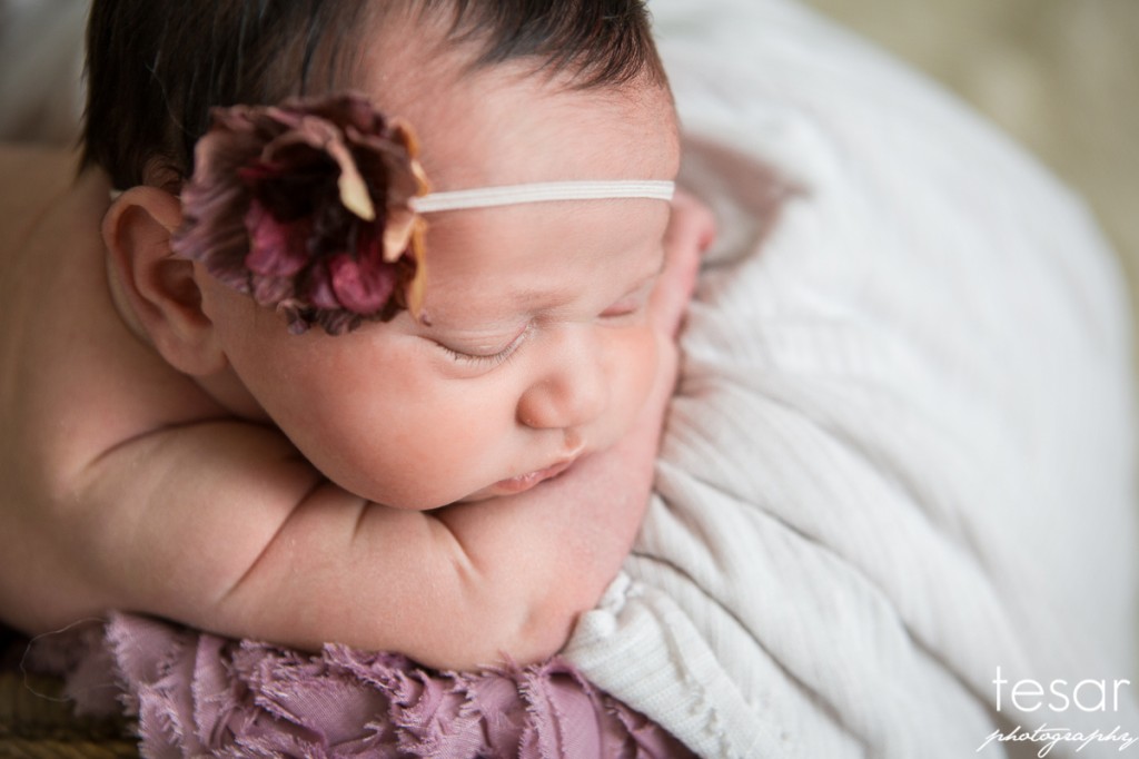 Aurelia Web Sized File-1077