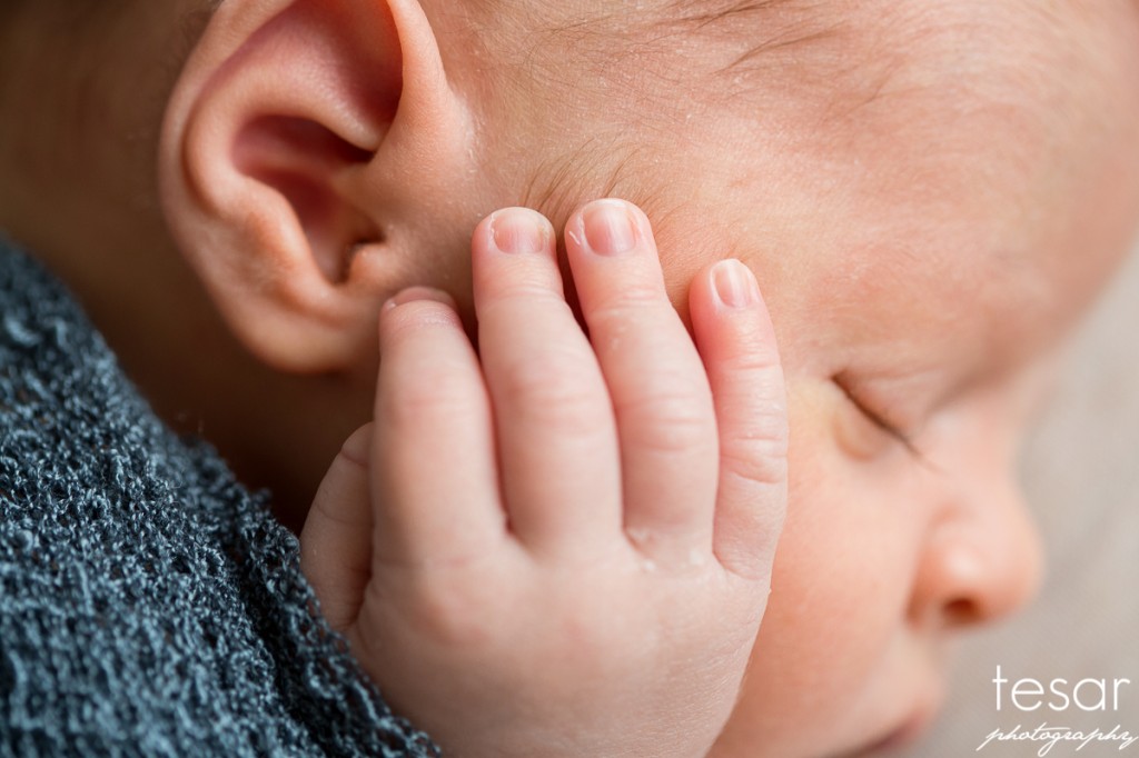 Jude Web Sized Image-1027