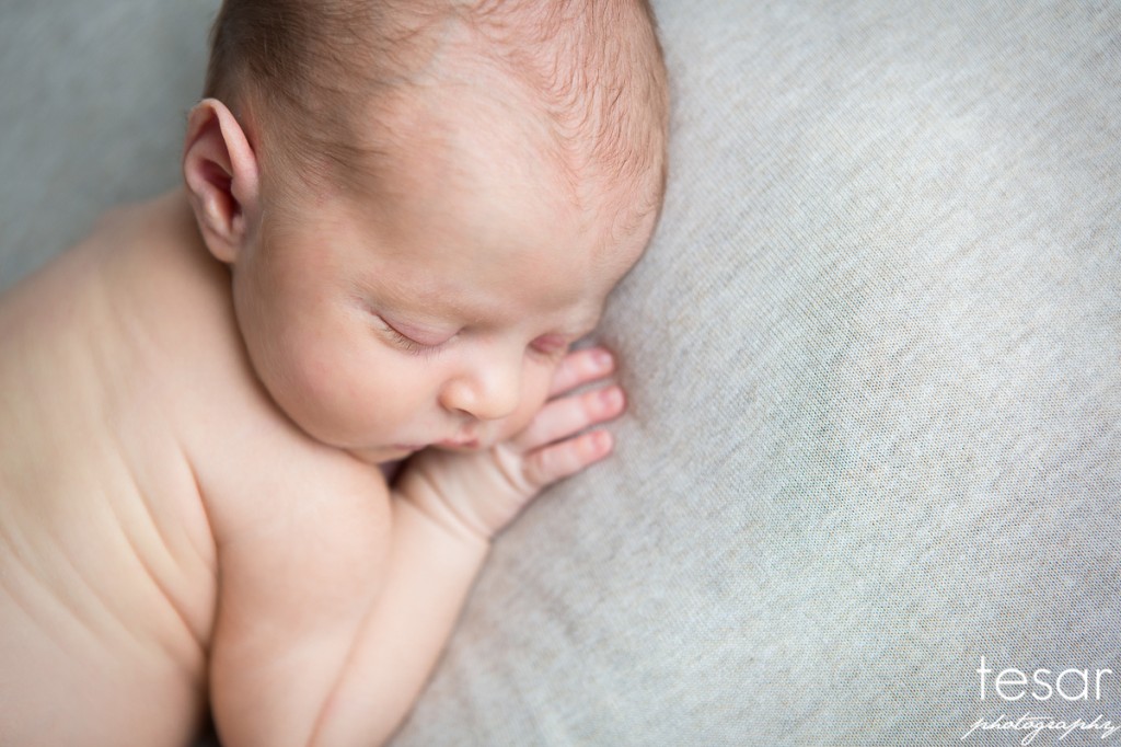 Jude Web Sized Image-1030