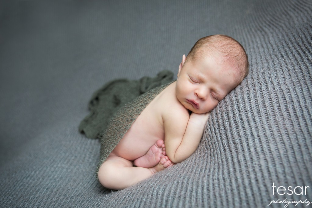 Jude Web Sized Image-1039