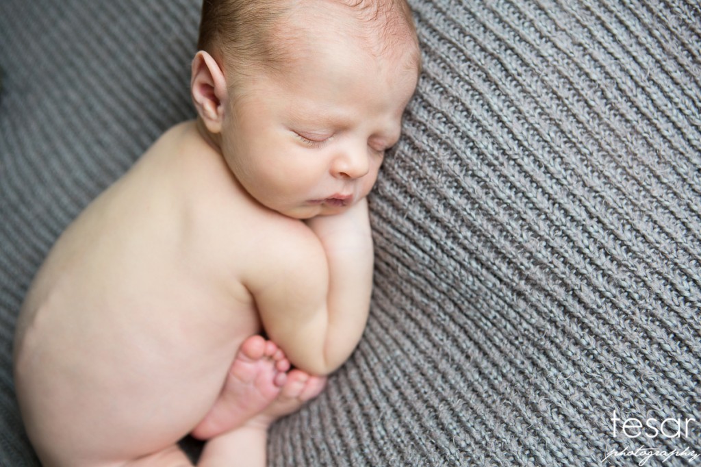 Jude Web Sized Image-1041