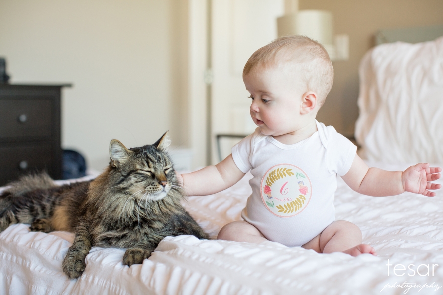 Finley-60029web(pp_w890_h593)