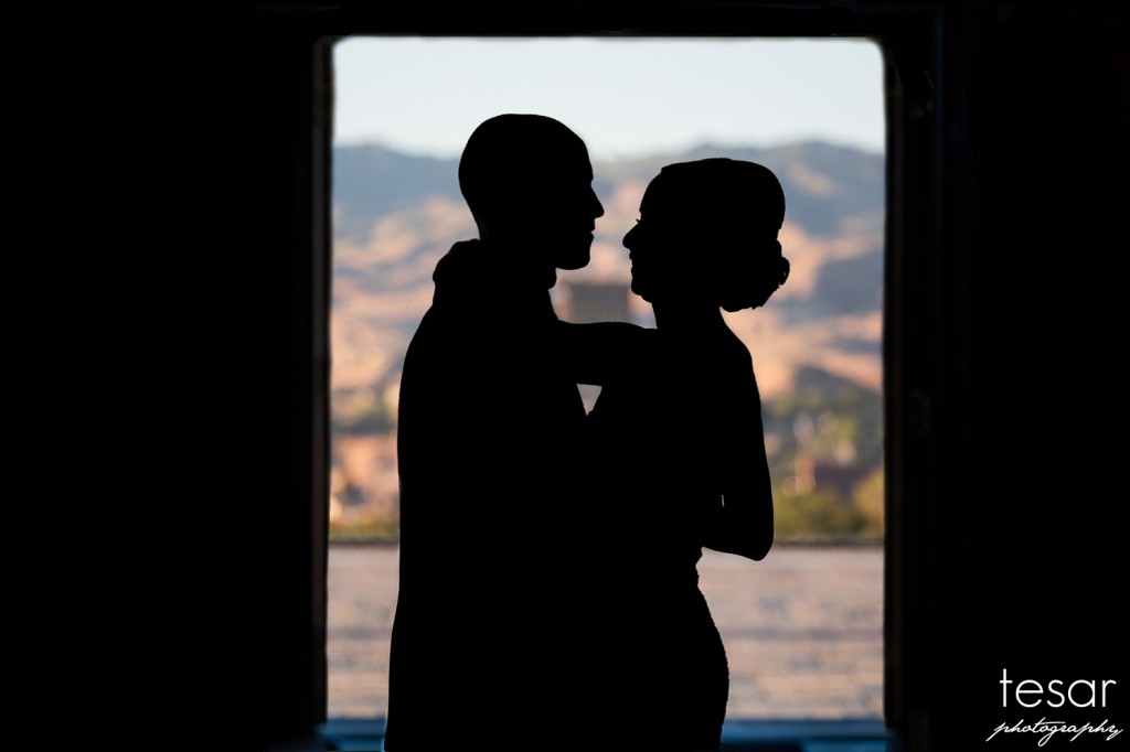 Boise Train Depot Wedding Photographer-1100