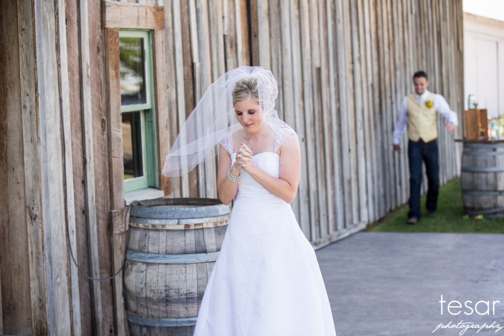 boise wedding engagement idaho-1046