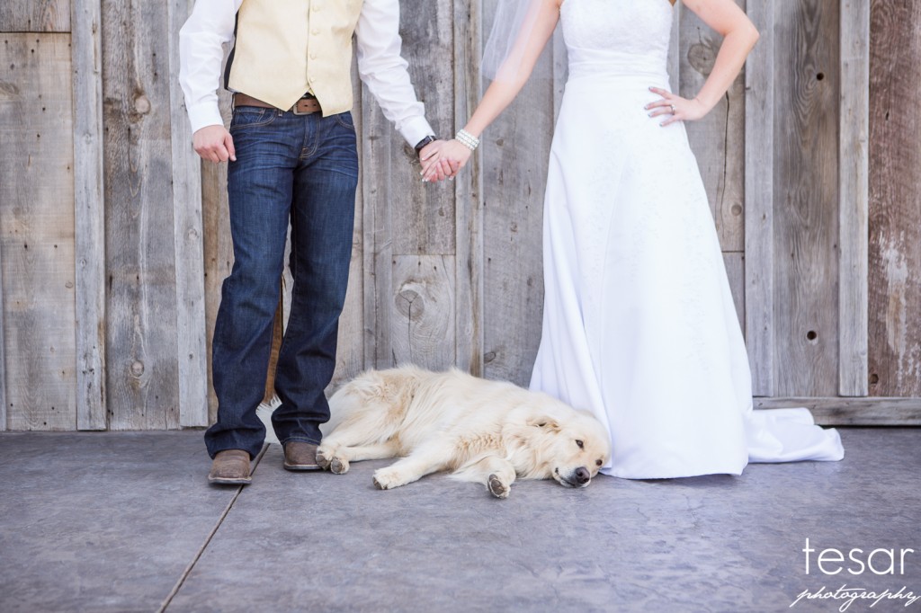 boise wedding engagement idaho-1060