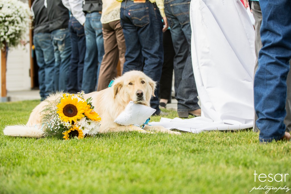 boise wedding engagement idaho-1097