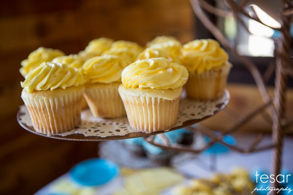 boise wedding engagement idaho-1103