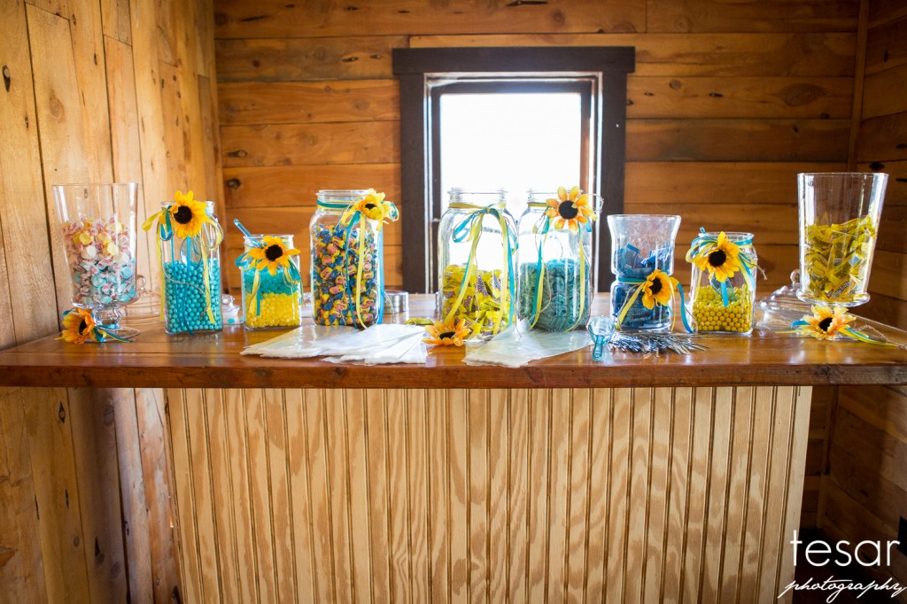 boise wedding engagement idaho-1107