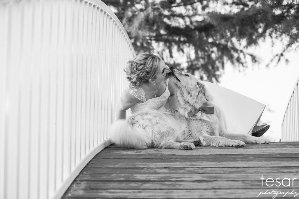 boise wedding engagement idaho-1135