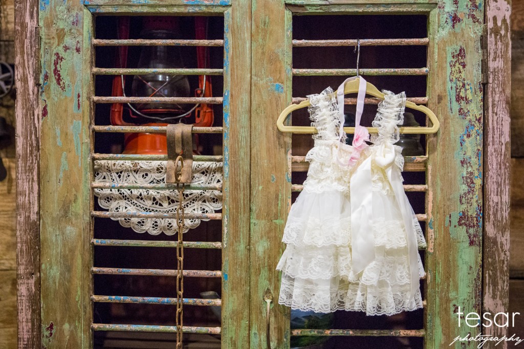 Boise Eagle Island Wedding Photographer Dan Jenny-1004