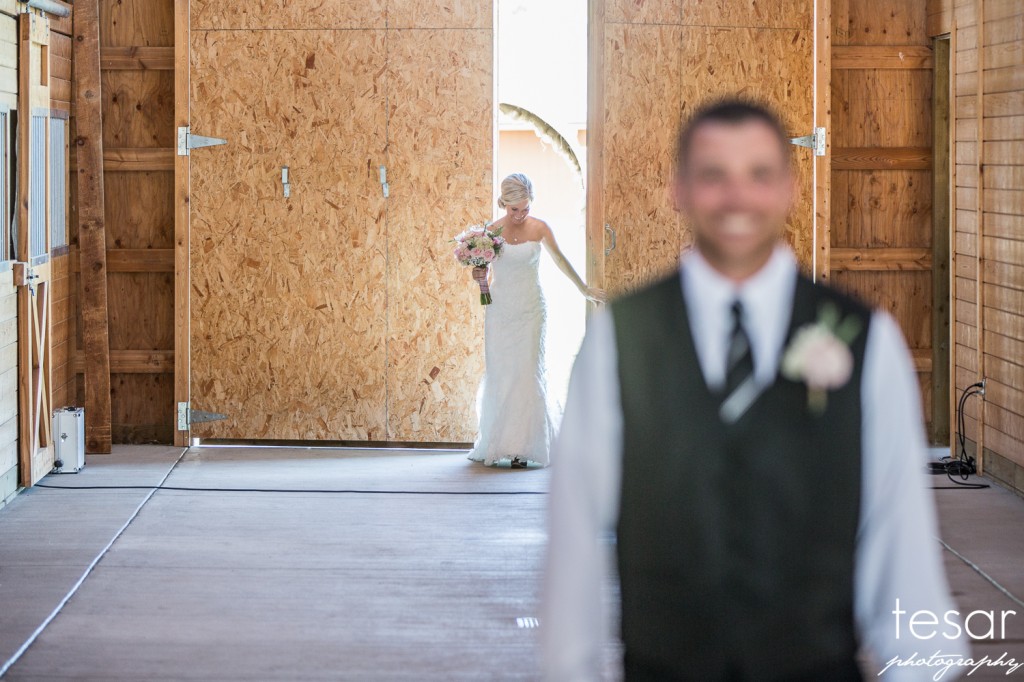 Boise Eagle Island Wedding Photographer Dan Jenny-1007