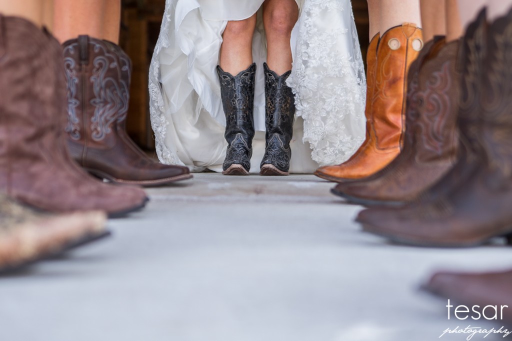 Boise Eagle Island Wedding Photographer Dan Jenny-1024