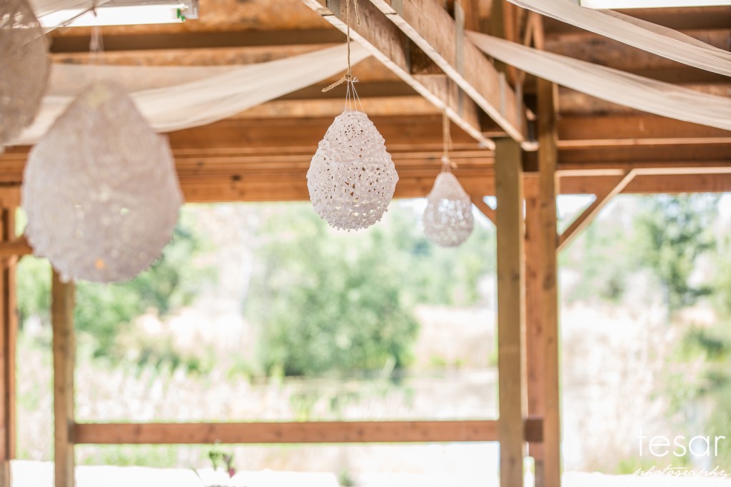 Boise Eagle Island Wedding Photographer Dan Jenny-1034