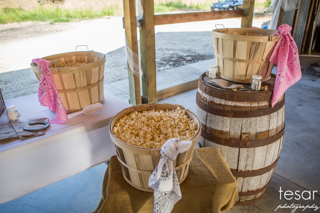 Boise Eagle Island Wedding Photographer Dan Jenny-1046