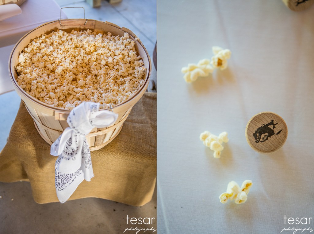 Boise Eagle Island Wedding Photographer Dan Jenny-1048