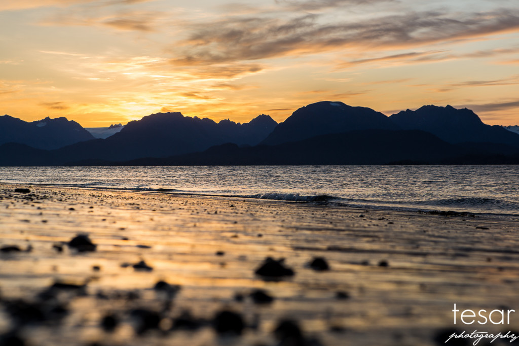 Homer Sunrise 2014 WEB SIZED-1001