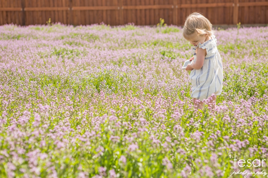 Finley-Spring-Flowers-BLOG-1002(pp_w890_h593)