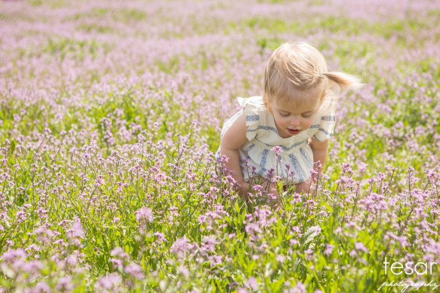 Finley-Spring-Flowers-BLOG-1004(pp_w890_h593)