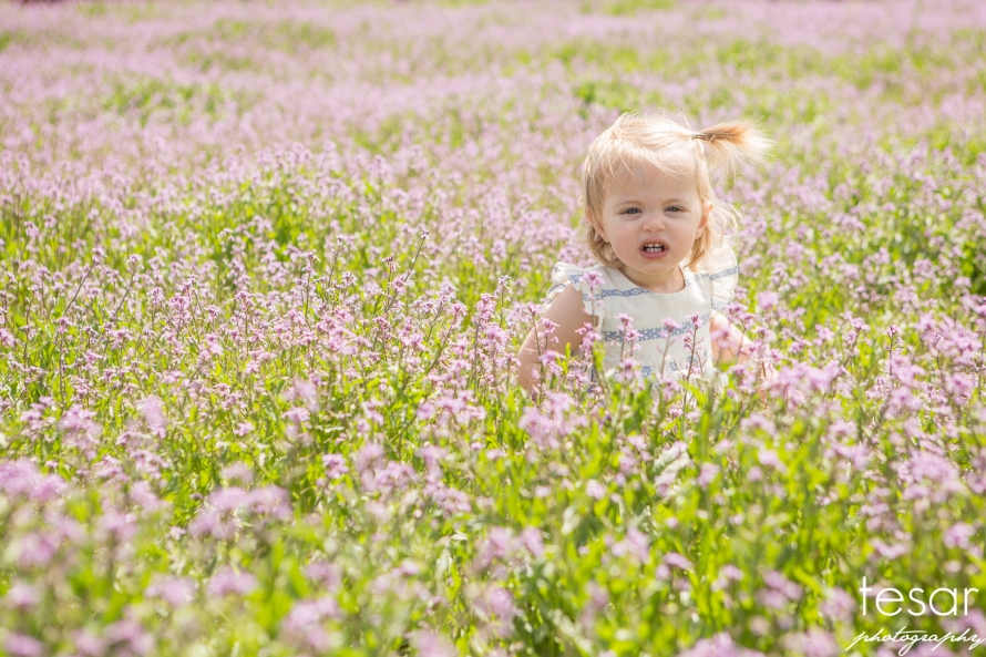 Finley-Spring-Flowers-BLOG-1005(pp_w890_h593)