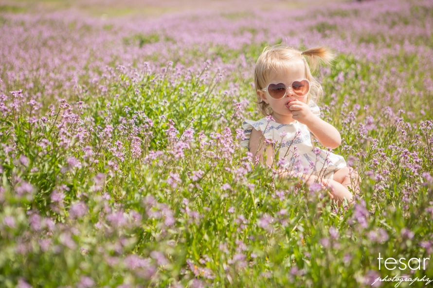 Finley-Spring-Flowers-BLOG-1008(pp_w890_h593)