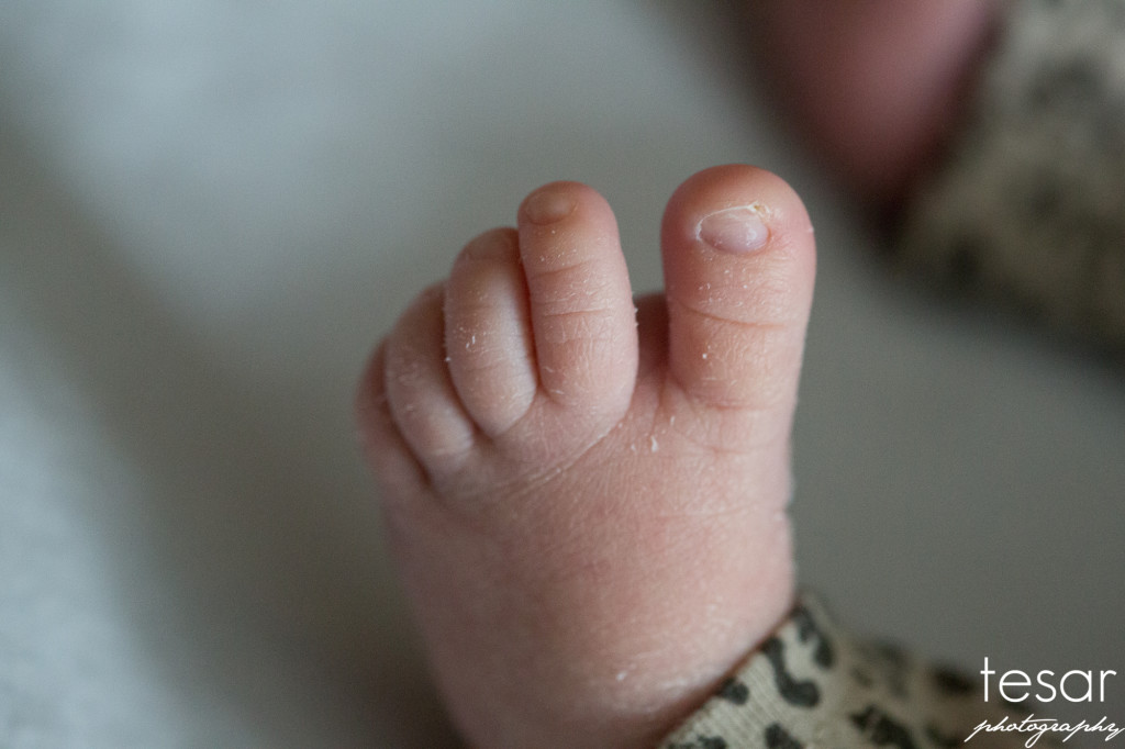 Lucy Newborn Session WEB-1076