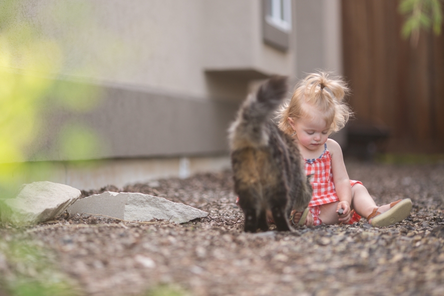 May-2015-WEB-SIZED-4051(pp_w890_h593)