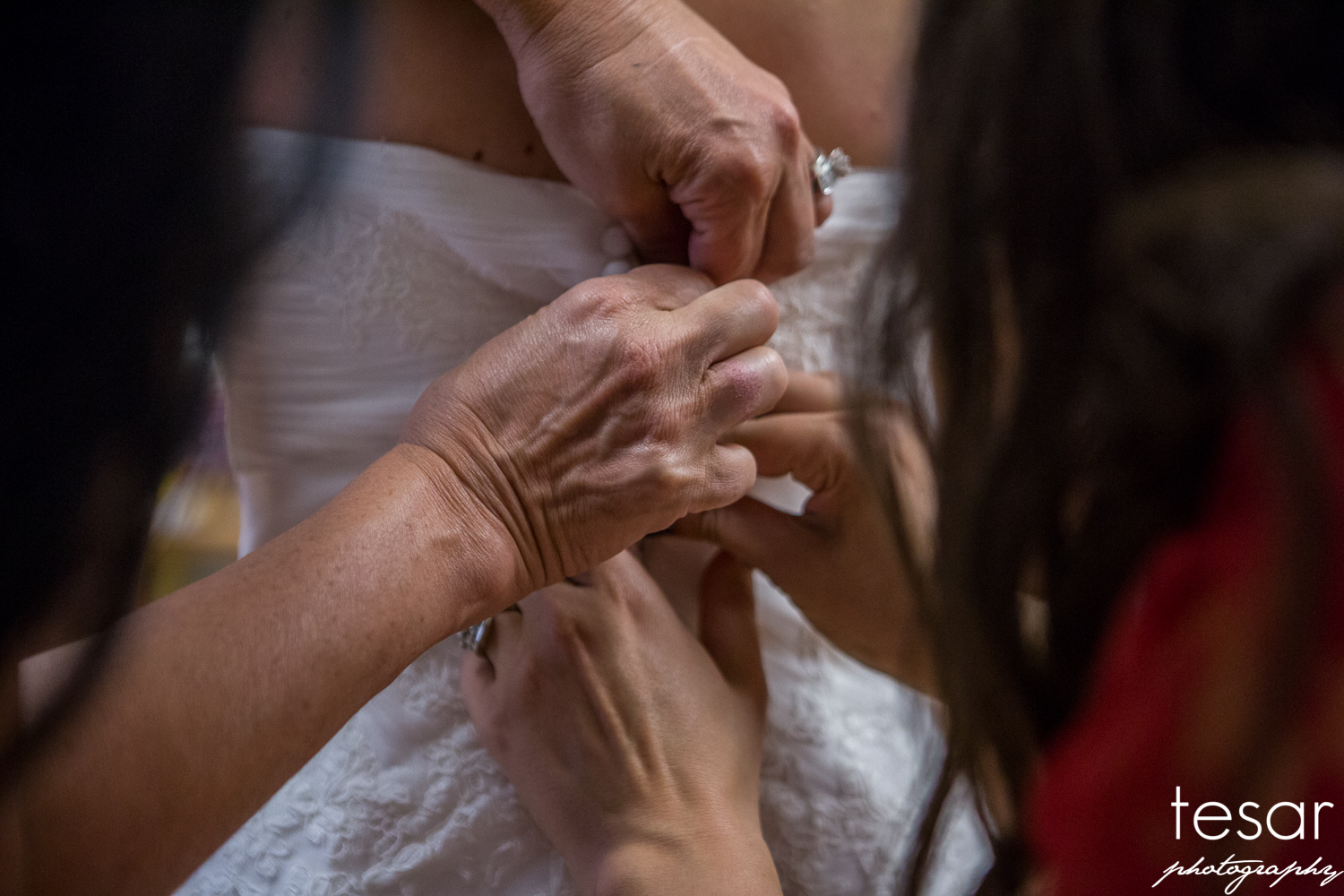 Zane Sierra BLOG-1013