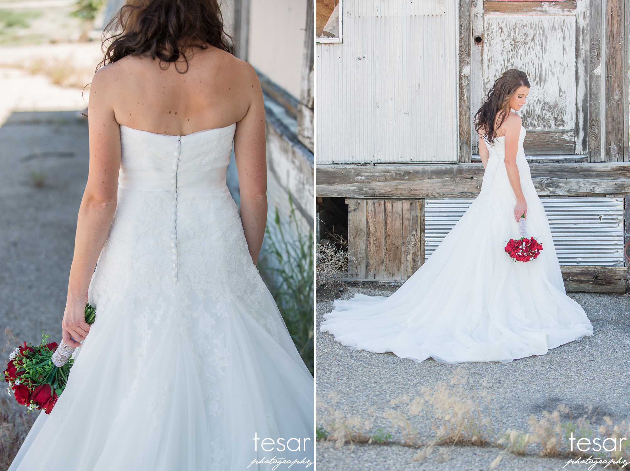 Zane Sierra WEB SIZED-2114