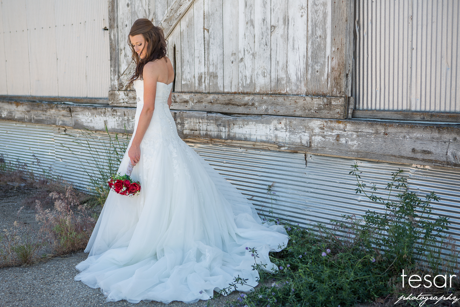 Zane Sierra WEB SIZED-2120