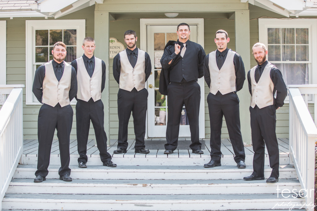 Darin Shanel web sized-2024