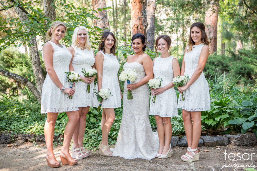 Darin Shanel web sized-3010