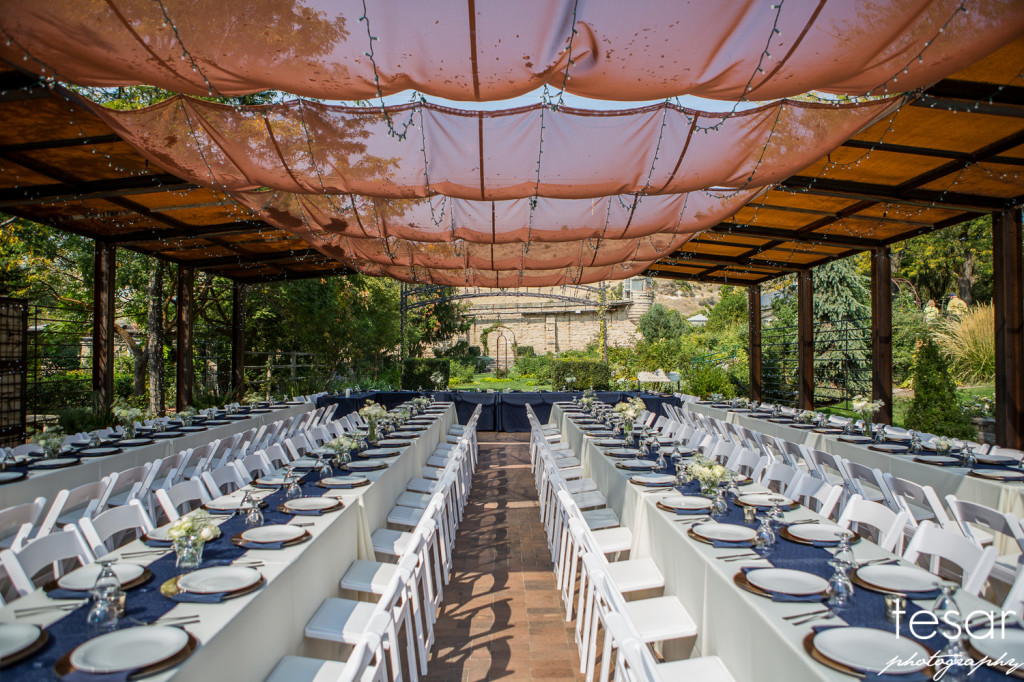 Darin Shanel web sized-4001