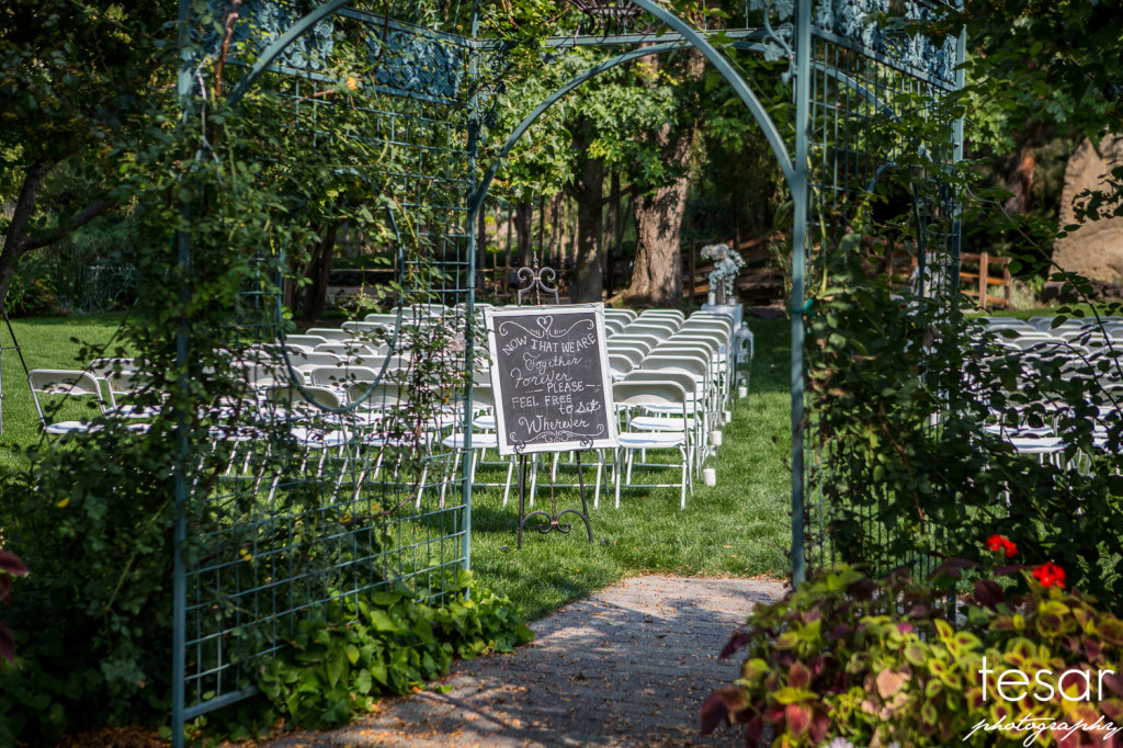 Darin Shanel web sized-4006