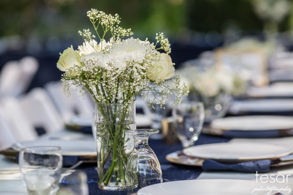 Darin Shanel web sized-4013