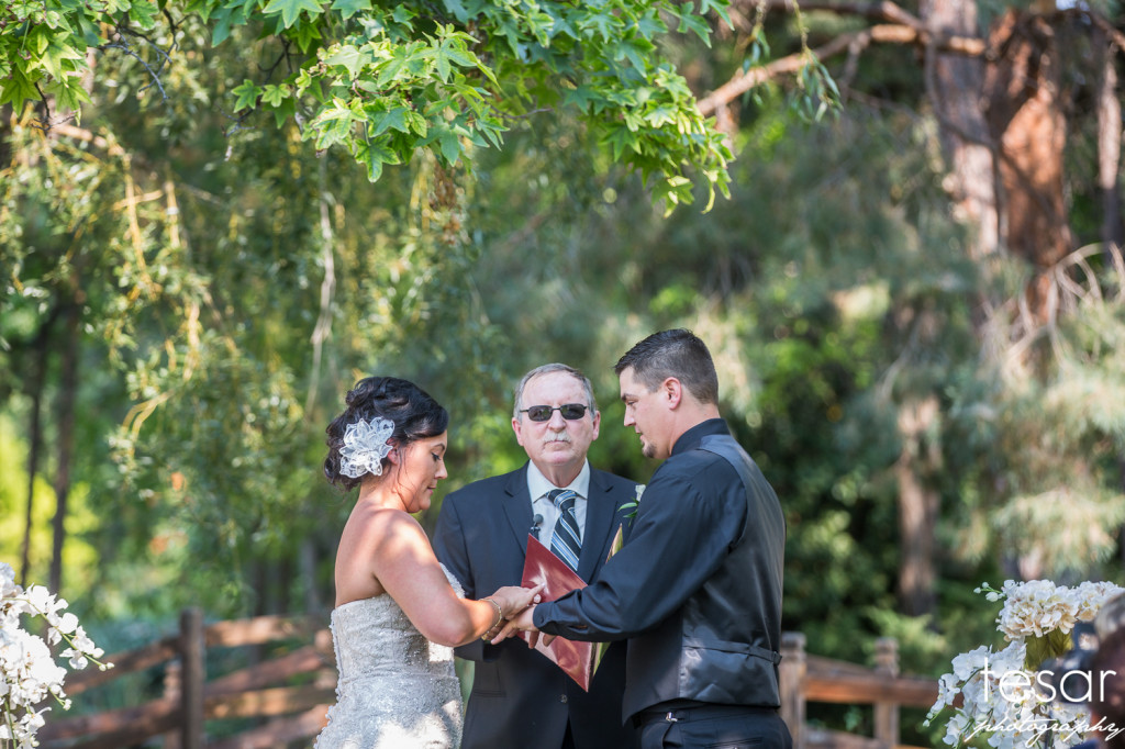 Darin Shanel web sized-4126