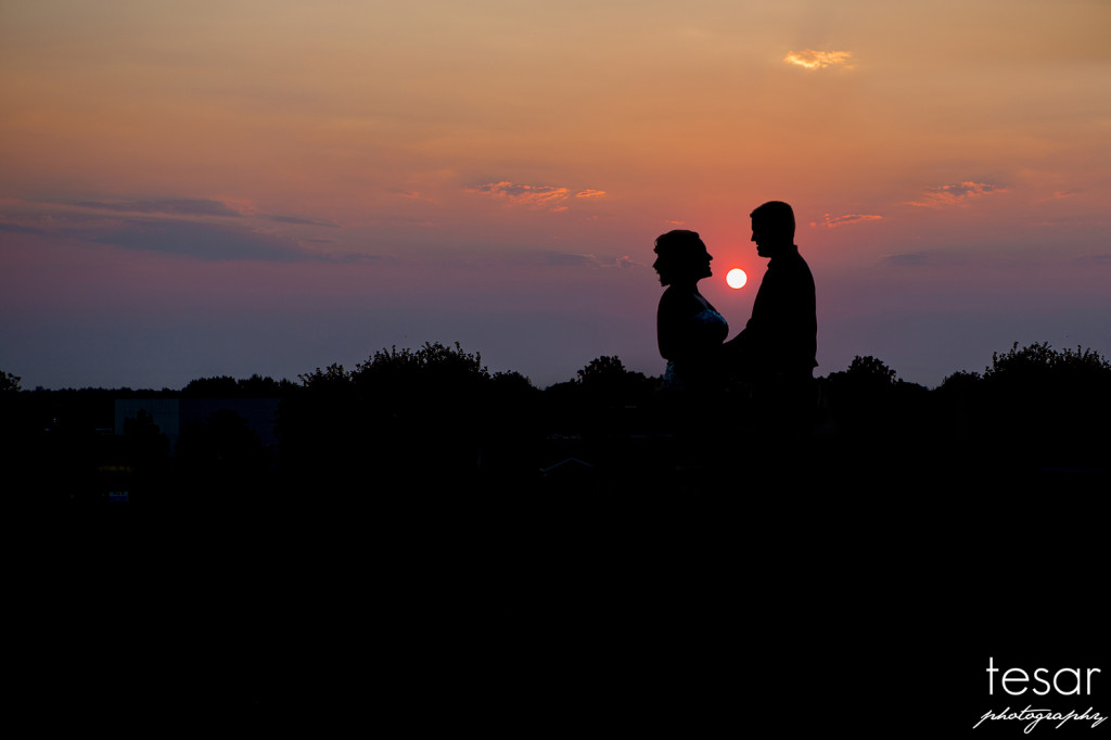 Darin Shanel web sized-6027