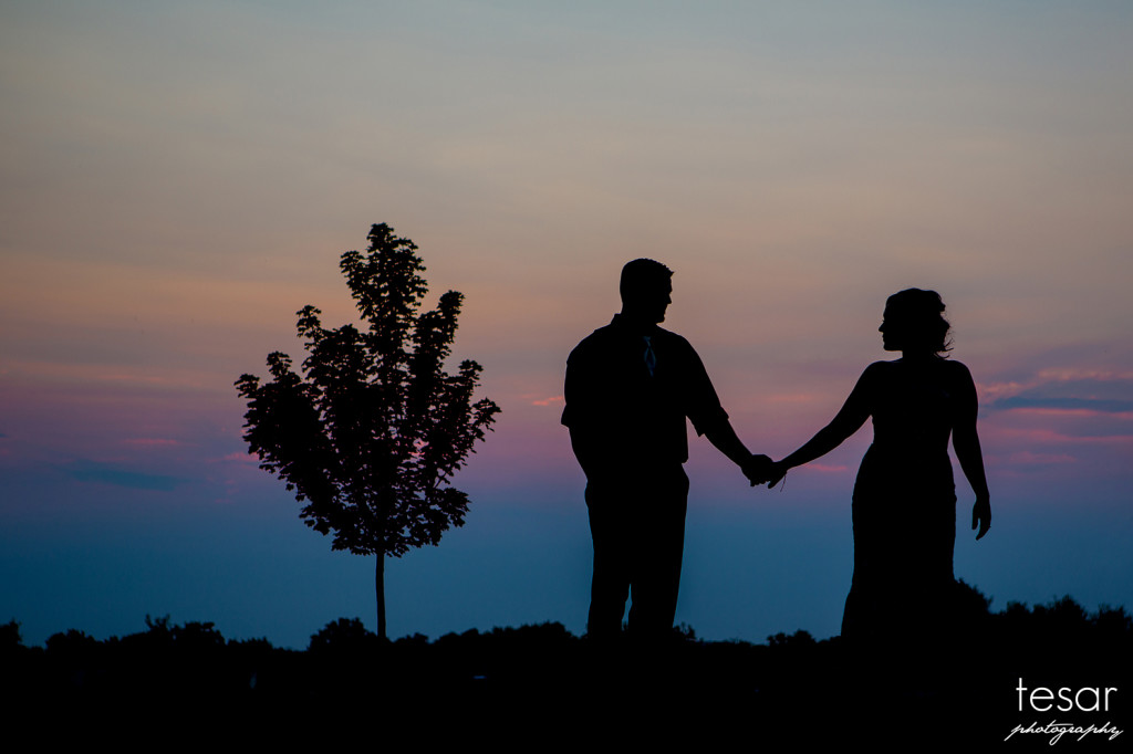 Darin Shanel web sized-6030