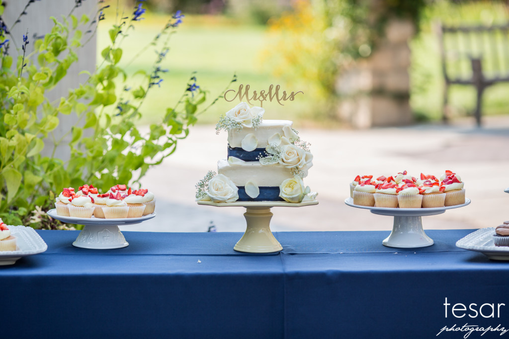 Darin Shanel web sized-7004