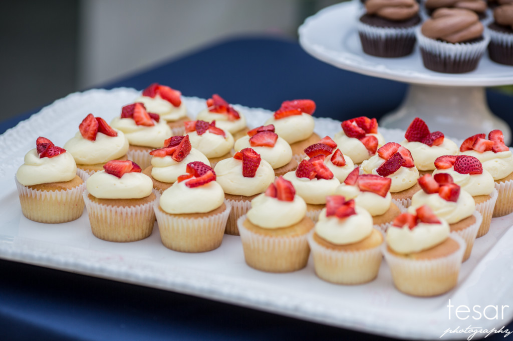 Darin Shanel web sized-7006